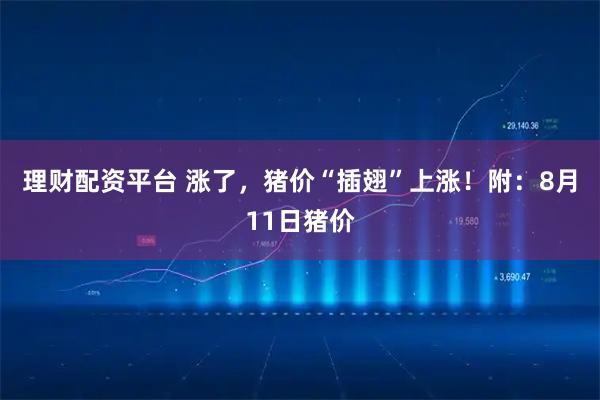 理财配资平台 涨了，猪价“插翅”上涨！附：8月11日猪价