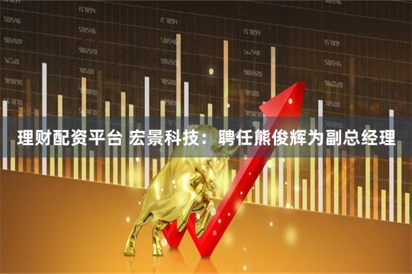 理财配资平台 宏景科技：聘任熊俊辉为副总经理